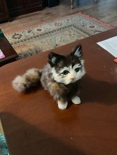 Real Fur Kitty Cat Brown Glass Eyes Pink Nose 5 Inches 