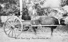 Aunt Lucy Ox Wagon Pass Christian Mississippi MS - Reprint
