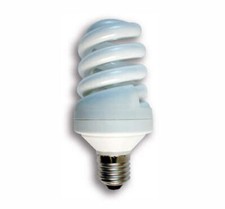 30 Watt Compact Fluorescent Bulbs