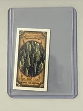 2024 Topps Allen And Ginter Fresh Pine Got The Itch Scratch & Sniff 