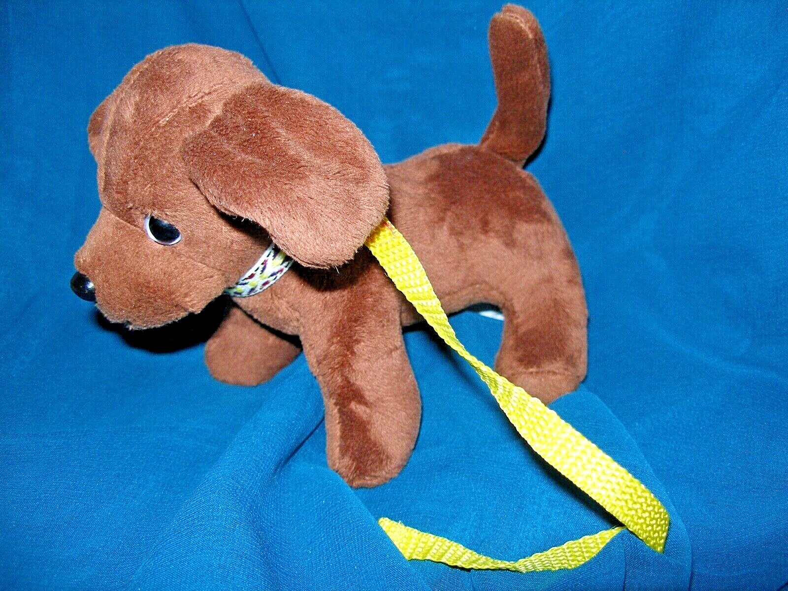 our generation schnauzer