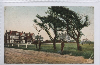 (KLj7205) Cricket Ground, FRINTON-ON-SEA, Essex, 1908