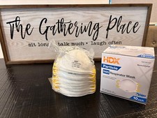 HDX N95 Particulate Respirator Face Mask (10-masks)