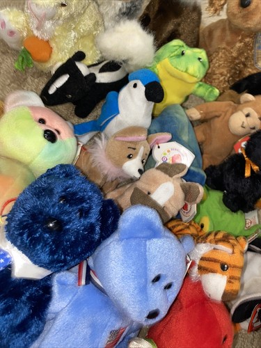 25 Various TY toys Some Tags Great Shape - Picture 7 of 8