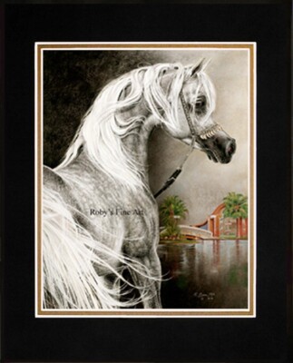 Matted Arabian Horse Print ''Arabian Stallion'' 11''x14'' Mat by Artist Roby Baer