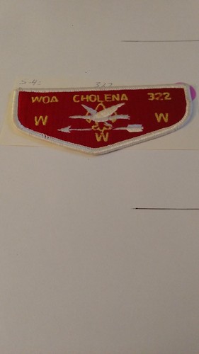 BSA/OA, Woa Cholena Lodge 322, Mobile Area Council, S4e, 120x55mm