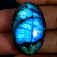 Wholesale 50.70Cts. Natural Blue Power Unique Labradorite Oval Cabochon Gemstone