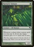 Shadowmoor Nurturer Initiate MTG Magic the Gathering NM