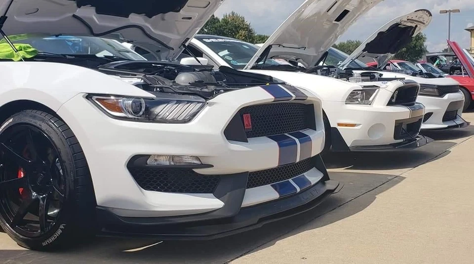 DIVISOR DELANTERO GT350R estilo montaje inferior para Mustang Shelby GT350s 2015-2020 Foto 4 de 4