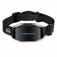 Dog Training Collar