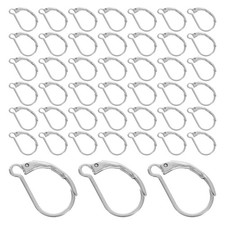 50 Pcs Stainless Steel Secure Clasp Lever Back Earring Hooks For Craft Pendants