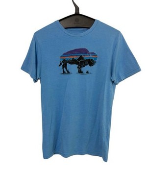Patagonia Mens Small Blue Fitz Roy Bison Slim Fit Graphic Tee Shirt Granola