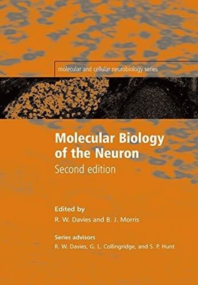 Molecular Biology of the Neuron (Molecular and Cellular Buch Oxford Univ Pr