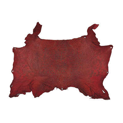 Bufo Marinus Cane Toad Skin Taxidermy Dyed Leather Matte Red/Gray Highlights