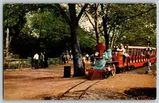 Postcard MO Zoo Line Railroad Forest Park, St. Louis, Missouri 