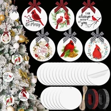 Bucherry 24 Pcs White Acrylic Christmas Ornaments - 3 Inch Round Clear Blank ...