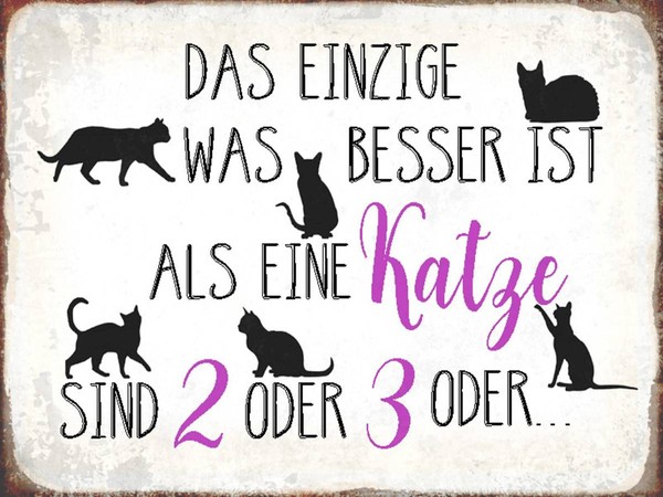 Holzschild 30X40 Cm Einzige Was Besser Ist Als Katze Deko Geschenk Holz Schild-image