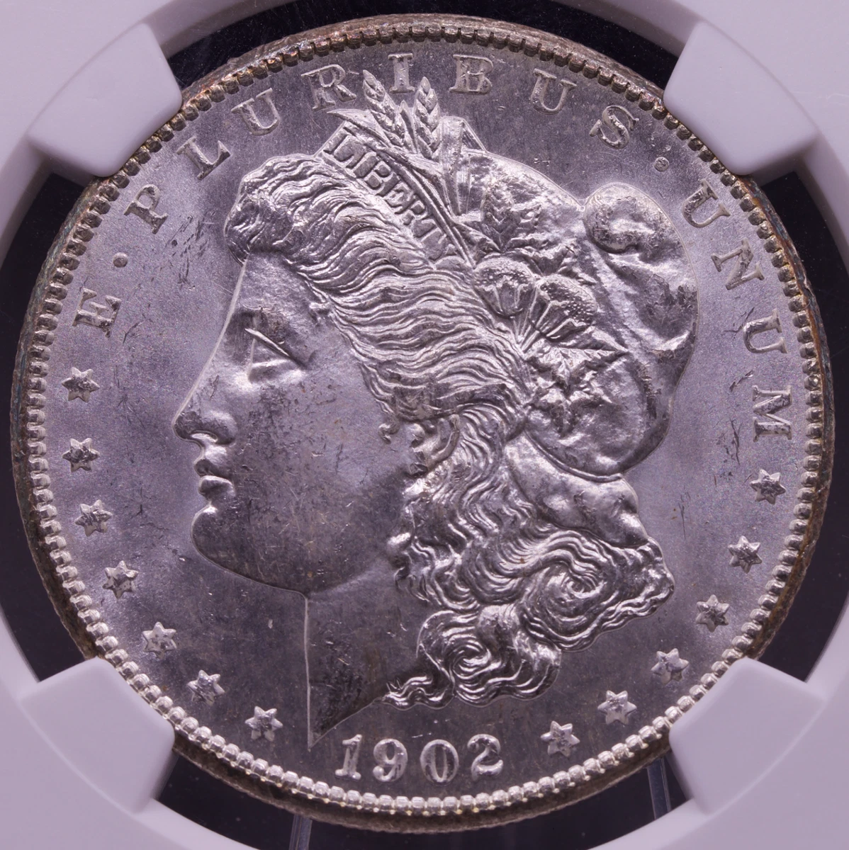 モルガンダラー　銀貨　1902 o NGC MS65 1902 Year Grade MS 65 Morgan Dollars (1878-1921) for sale | eBay