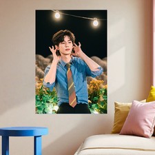 Zhang Linghe poster magazine advertising endorsement photo 16-inch 30 42cm spe