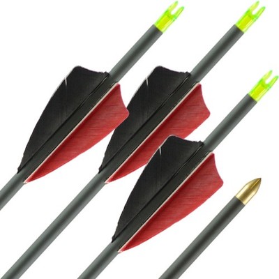 12x Carbonpfeil | LithoSPHERE Black - mit Naturfedern