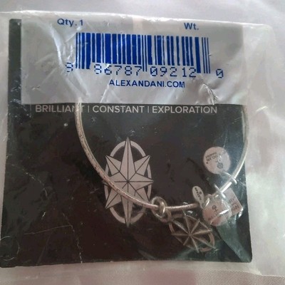 Alex and Ani 2014-2015 North Star Charm silver Color Tone  Bracelet  Bangle Nwt