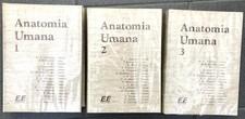 MEDICINA ANATOMIA UMANA AA.VV 3 VOLL EDI ERMES 1977