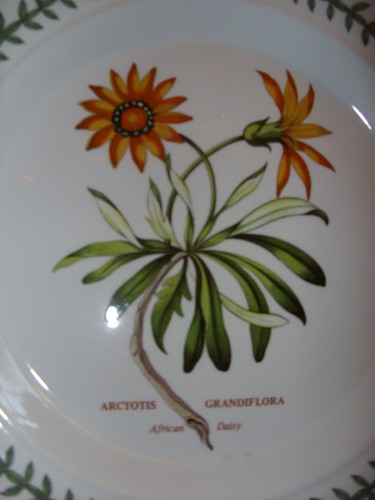 PORTMEIRION BOTANIC GARDEN AFRICAN DAISY 10.5" PLATE RARE NO INSECT VERSION EXC! - Picture 5 of 6