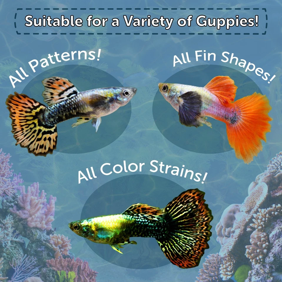 Copos Guppy, copos premium más pequeños AFI Foto 3 de 4