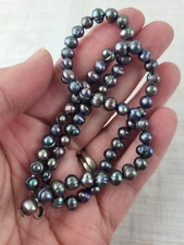 Peacock Tahitian Pearl Choker Necklace 16"