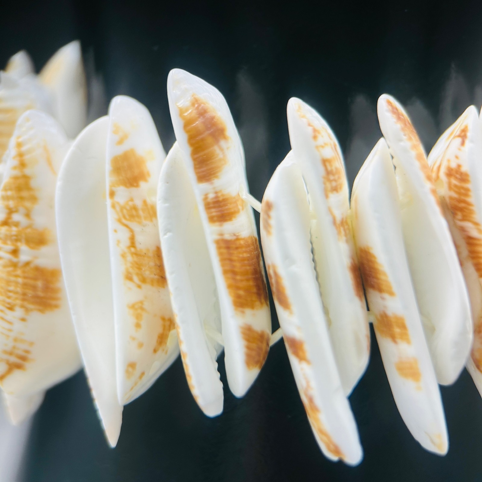 Natural Shell Disc Stretch Bracelet Beachy Boho Summer Style