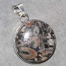 Ciondolo tondo crinoide fossile placcato argento 925 1,6" regalo spirituale trendy GW
