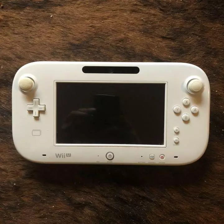 Wii U GamePad, Nintendo