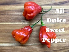 RARE✿ Heirloom Aji Dulce Sweet Pepper 10+ Seeds ●Fruity Aroma