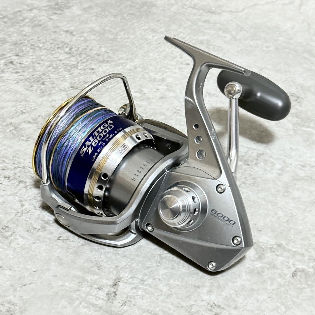SALTIGA Z5000 Z6000 フィッシングリール Daiwa Saltiga Z 6000 Spinning Reel | eBay