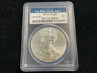 2013 W BURNISHED SILVER EAGLE W MINT MARK FROM ANNUAL DOLLAR COIN SET PCGS MS70