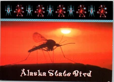 Alaska AK State Bird Mosquito Humor Funny Joke Sun Insect USA Vintage Postcard