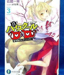Shin High School Dxd Vol 3 Ichiei Ishibumi Japanese Book Japan New Ebay