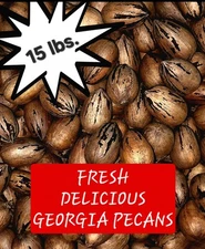 15 lbs. FRESH Delicious GEORGIA PECANS In Shell - No Pesticides - Ships NOW Fast