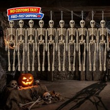 Hanging Small Skeletons for Halloween Decorations: 10PCS 16Inches