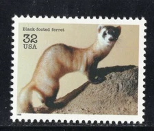 3105a * BLACK FOOTED FERRET *  U.S. Postage Stamp  MNH 