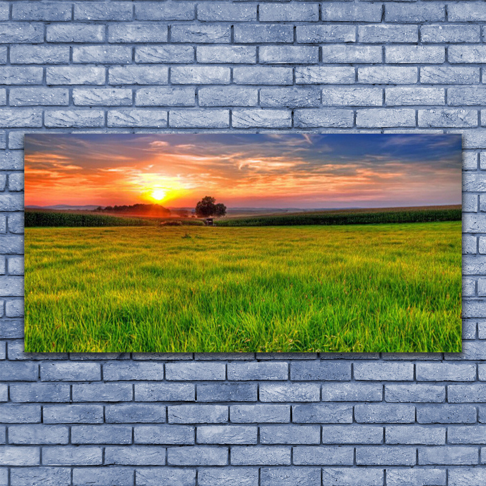 Tableau sous verre 140x70 Nature Soleil pour illuminer une pièce sombre