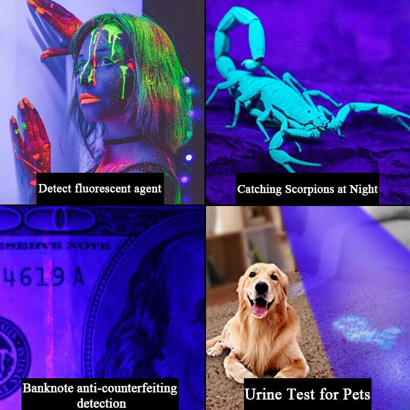 UV Flashlight Black Light Super Bright 120000lm Torch Ultra Violet Lamp LED - Image 3 of 4