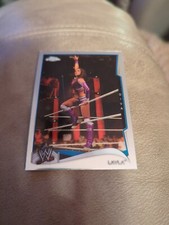 2014 Topps WWE Layla Diva # 79