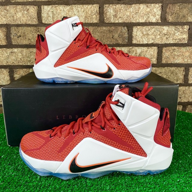 lebron 12 lion