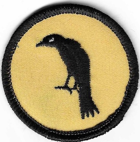 BSA MINT COLOR PATROL MEDALLION PATCH CLEAR PLASTIC BACK BLACK-YELLOW RAVEN CROW - 第 1/3 張圖片