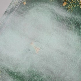 SHENMUE II 2 Limited Edition Dreamcast Sega 3274 dc