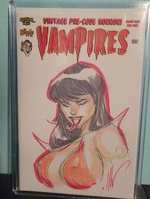 Vampires: Blood Shot Vampirella by Ale Garza Sketch Cover in Toploader w/COA
