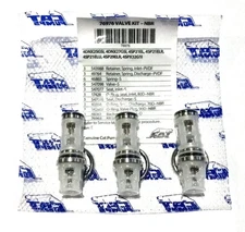 76976 VALVE KIT FOR CAT PUMP 4DNX,4SPX,4SP,4PPX, RSPX, 4SP PRESSURE WASHER