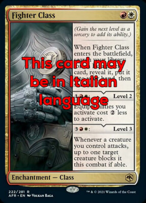 MTG FIGHTER CLASS EXC - CLASSE DEL GUERRIERO - AFR - MAGIC | eBay
