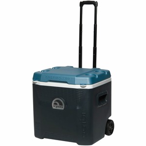 igloo hard sided cooler